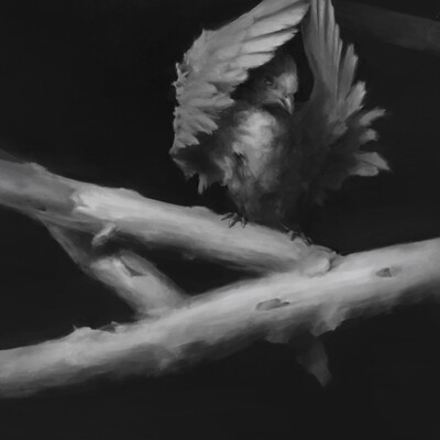 Bird_01