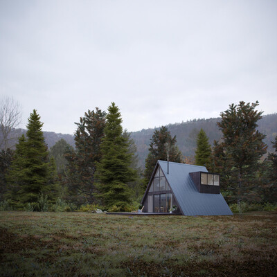 A-Frame House