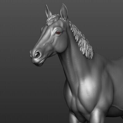 Horse