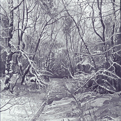Winter evening