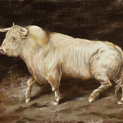 Bull - Save Animals!