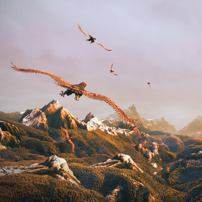 Wild Valley
