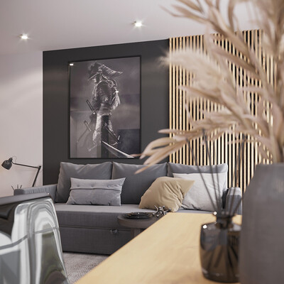interior of the studio apartment
