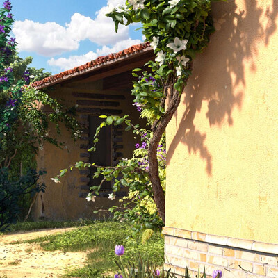 In the village