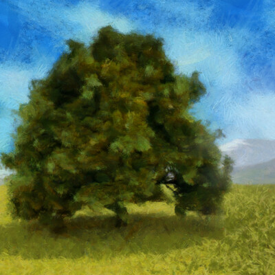 Field in front of mountains
