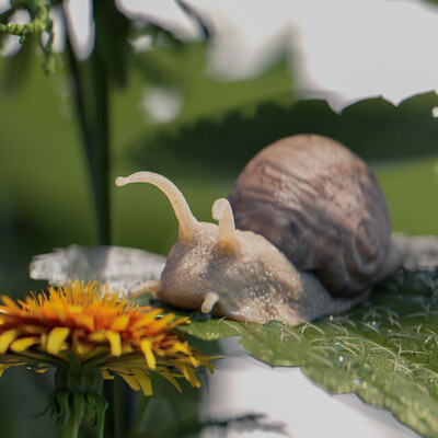 snail