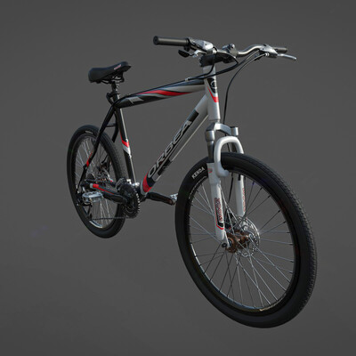 Orbea bike