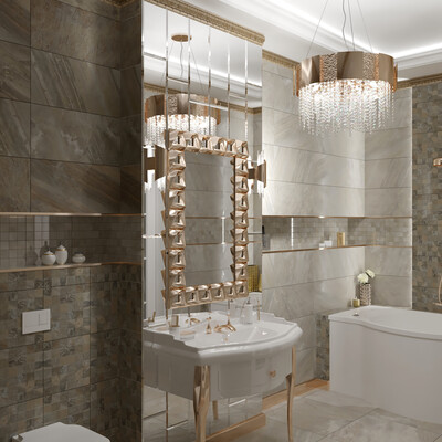 3D visualization of the bathroom-bathroom