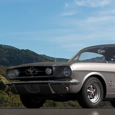 Mustang 65