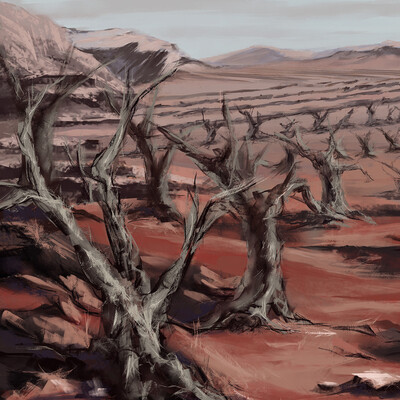 Sunny Hills