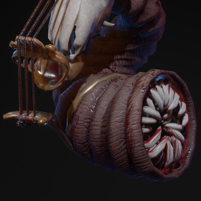 Violinohorn