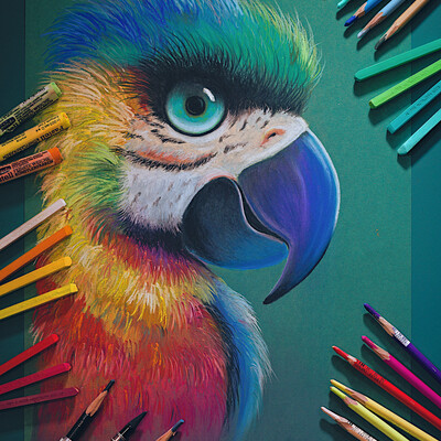Parrot