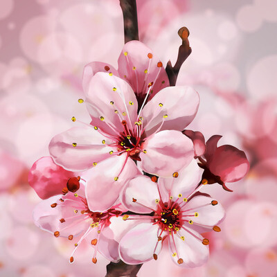 Spring flowering