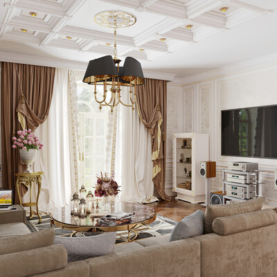 Living room in classic style.