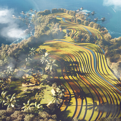 Vietnamese rice fields