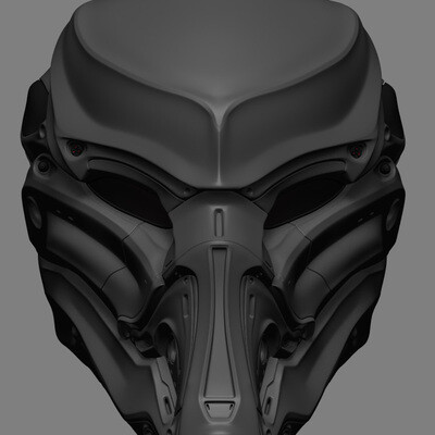 Helmet predator