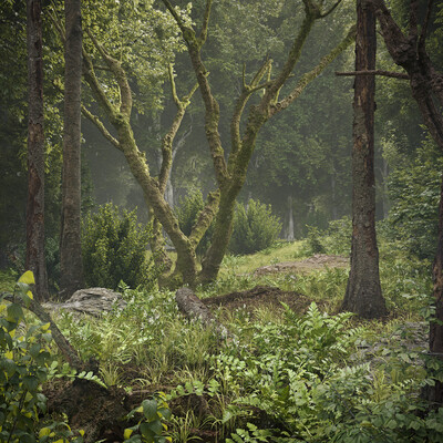 Nature