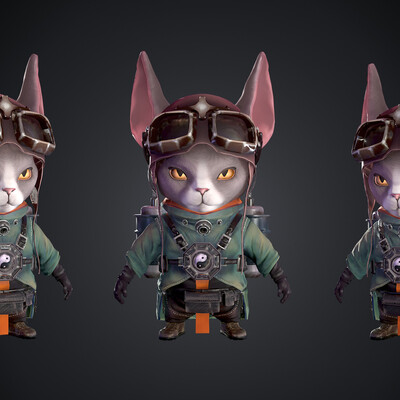 Cat aviator