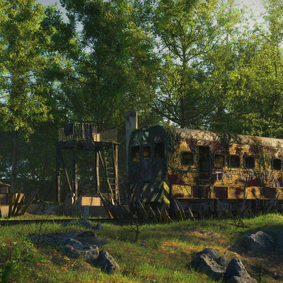 Abandoned Train