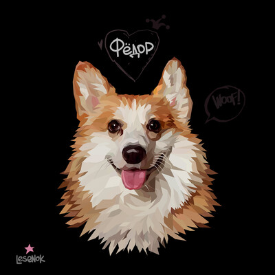 Corgi