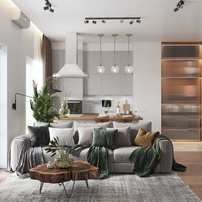 Kitchen-living room