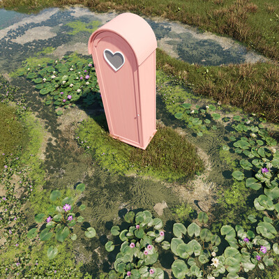 Romantic 3D fantasy - Water lilies.