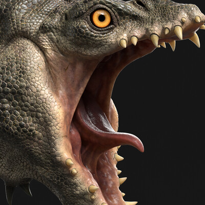 Dragon head