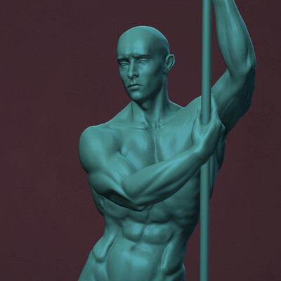 Male anatomy
