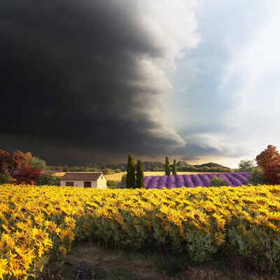Before the storm