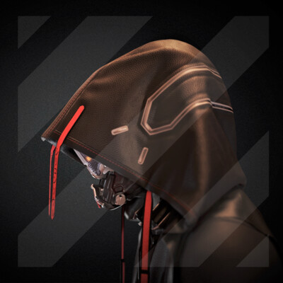 RoboHood