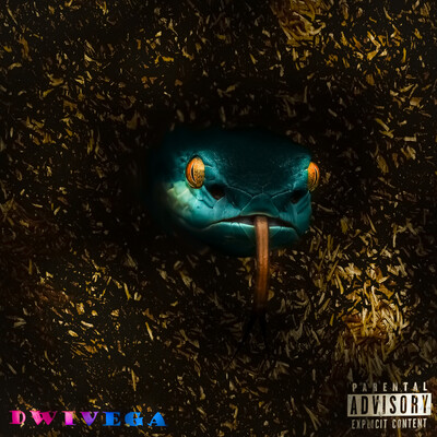 Music album cover
