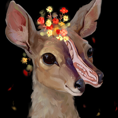 Mister deer