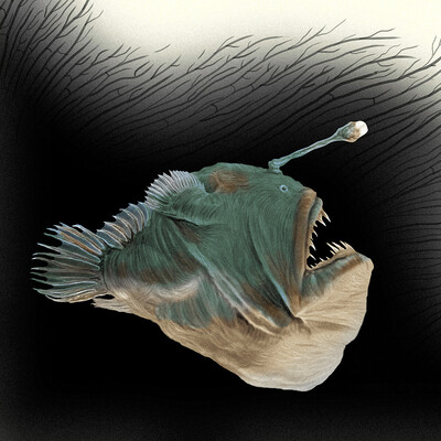 Sea Devil fish