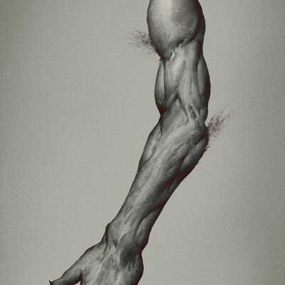 Study