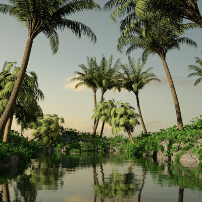 Palm