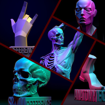 Anatomical manuals for artists