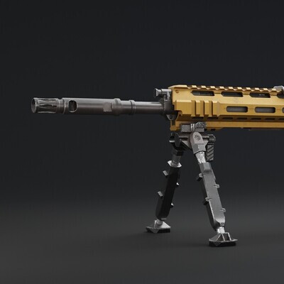 D-25S sniper rifle from CoD MW Remastered