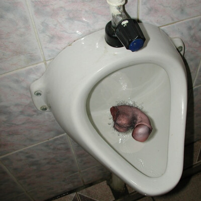 gost
