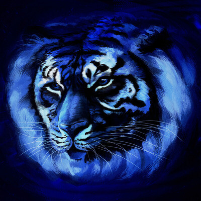 The Tiger Year