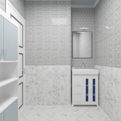 3D visualization of the bathroom