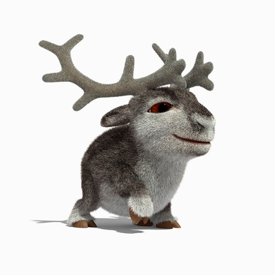 Reindeer
