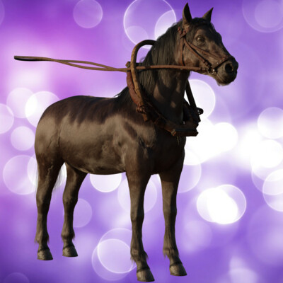 Horse-Tarpan