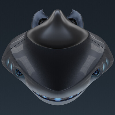 Shark`ирий)