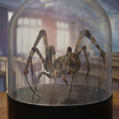spider