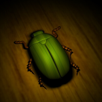 Bug