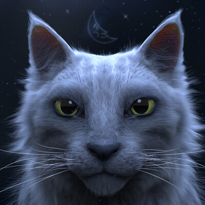 Moon's cat
