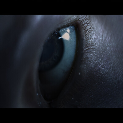 Elden Ring Eye shot self Study