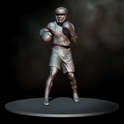 Boxer