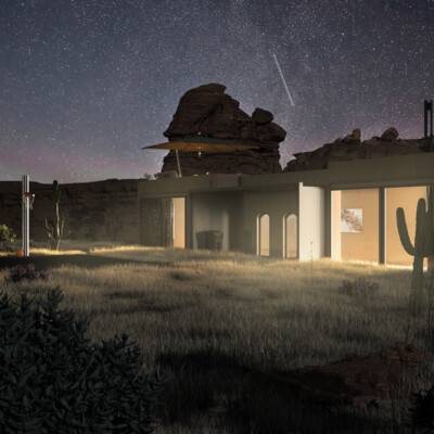 Life in the canyon