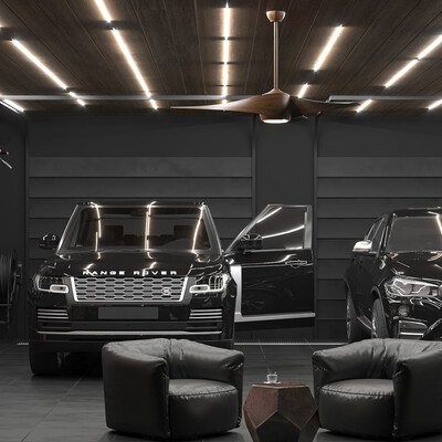 Interior #354. Luxury interior, garage.
